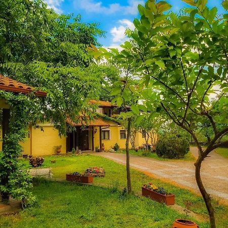 Villa Anthemia Naousa  エクステリア 写真