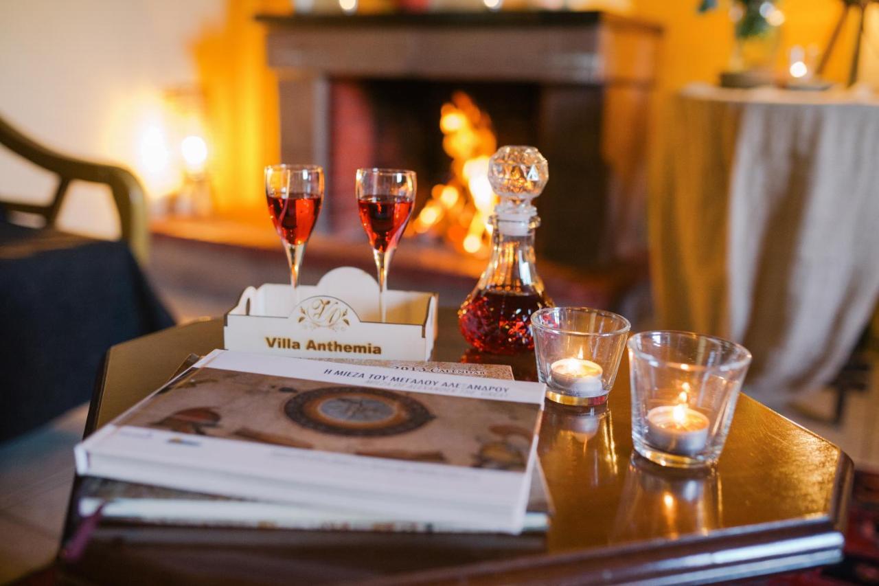 Villa Anthemia Naousa  エクステリア 写真