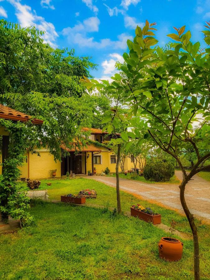 Villa Anthemia Naousa  エクステリア 写真