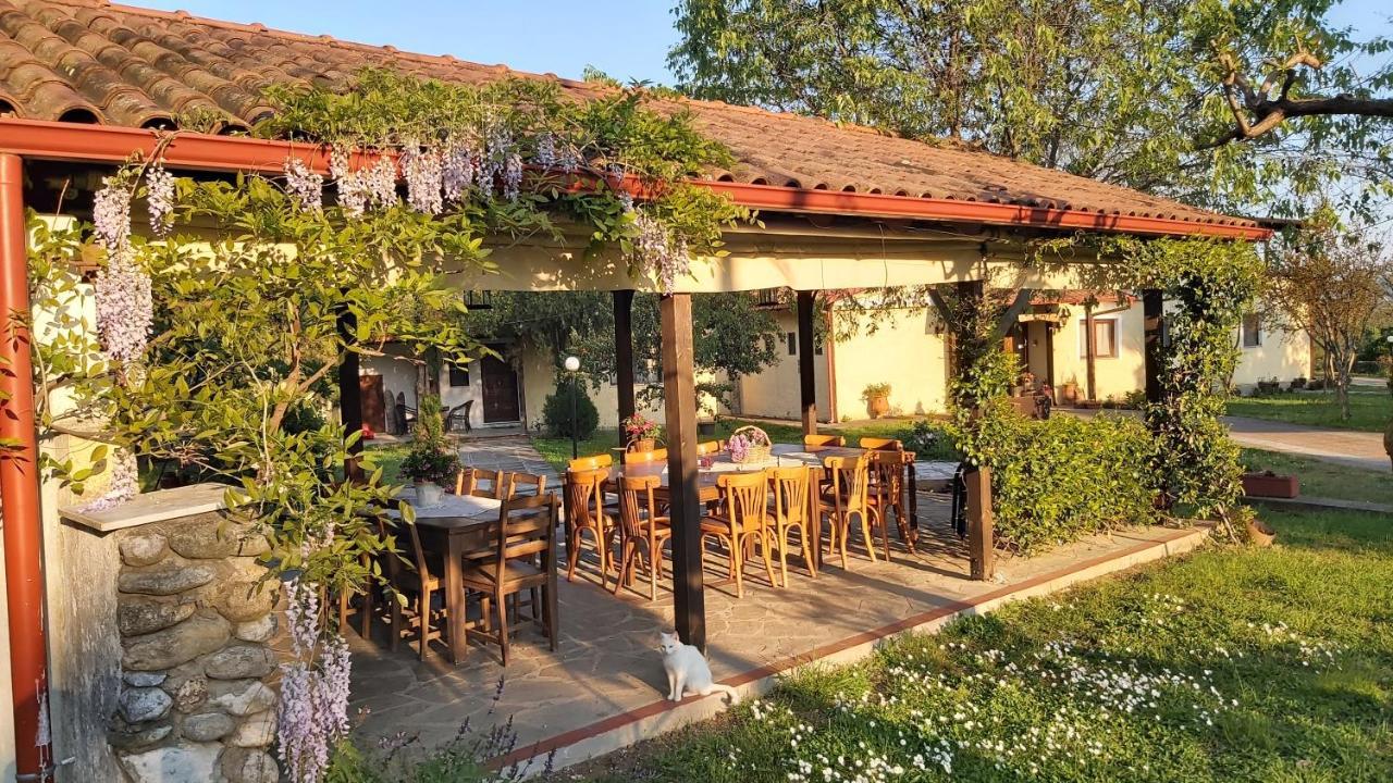 Villa Anthemia Naousa  エクステリア 写真