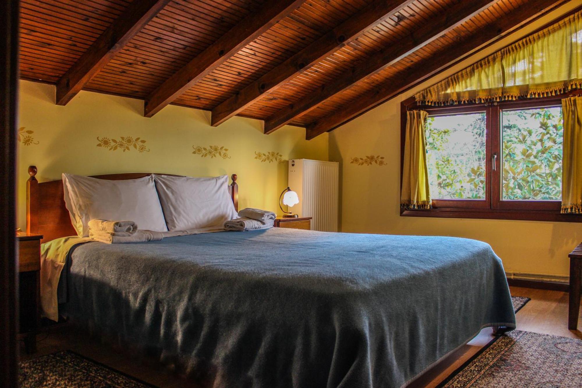 Villa Anthemia Naousa  エクステリア 写真