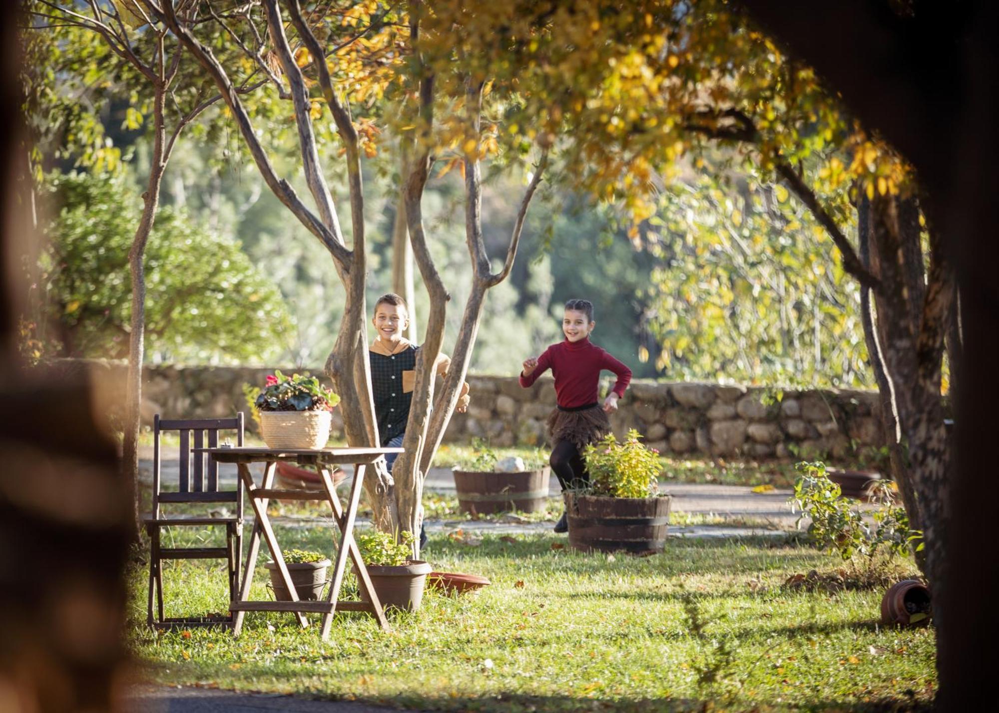 Villa Anthemia Naousa  エクステリア 写真