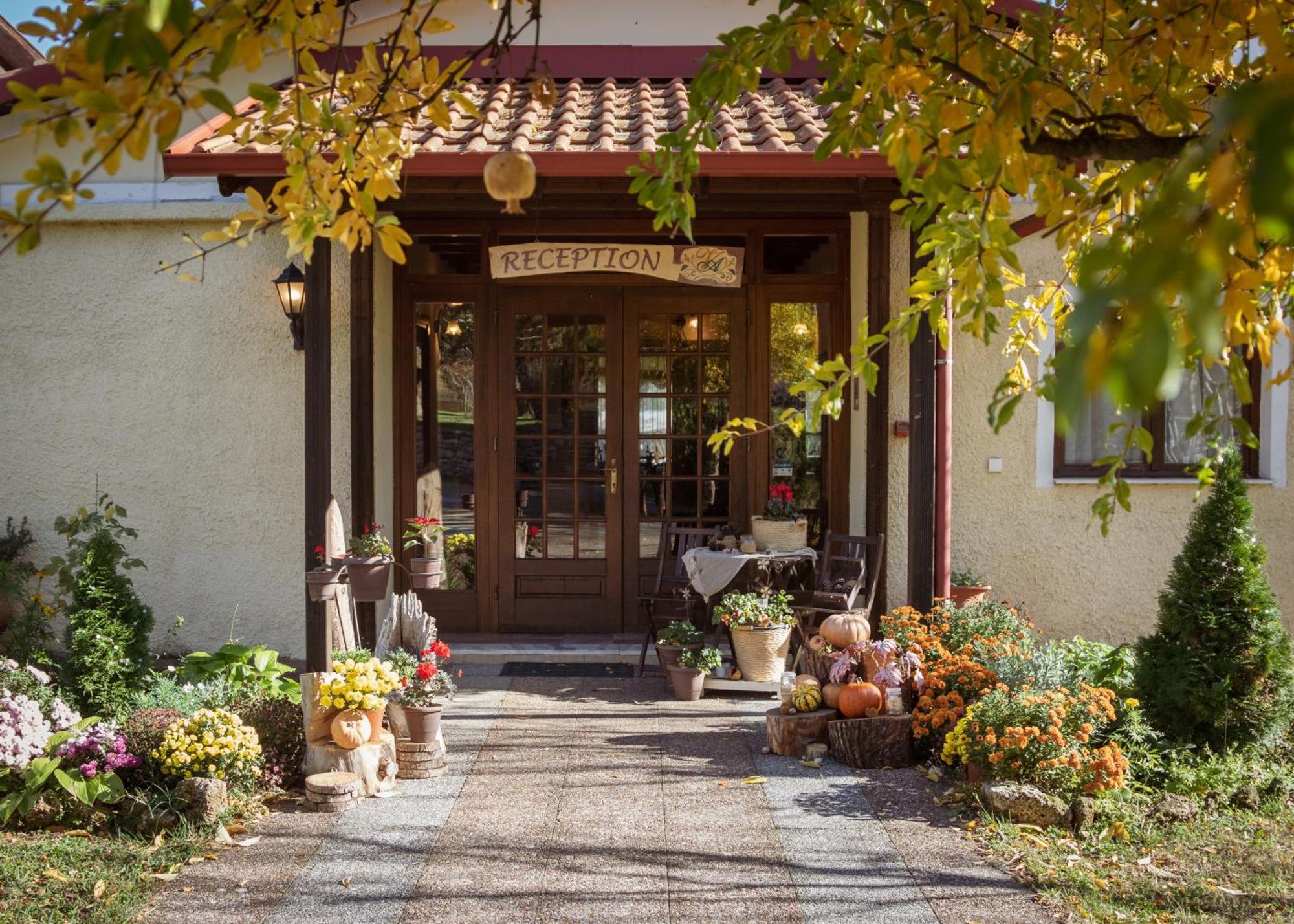 Villa Anthemia Naousa  エクステリア 写真